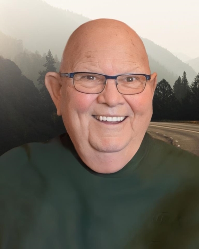 Denis Hamel