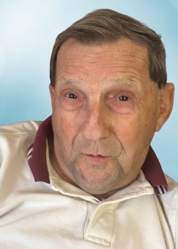 Raymond Noël